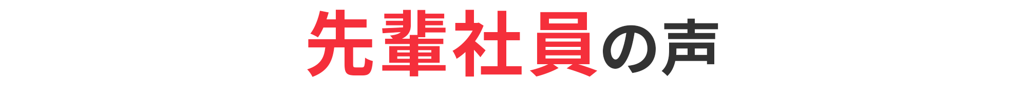 先輩社員の声